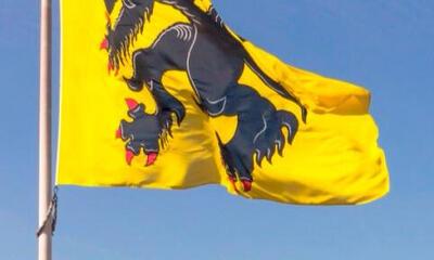 Vlaamse leeuw