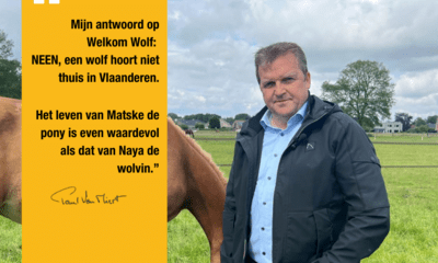 foto van Paul Van Miert met paard