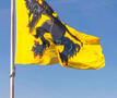 Vlaamse leeuw