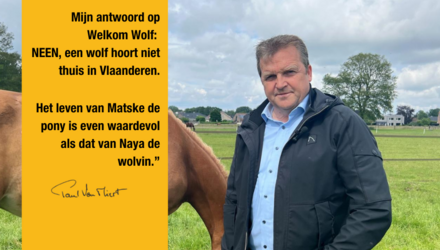 foto van Paul Van Miert met paard